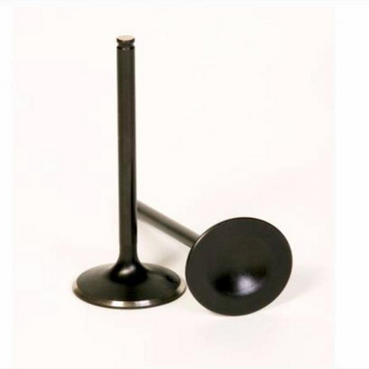 Bronco ATV Intake Valve - AU-09007I
