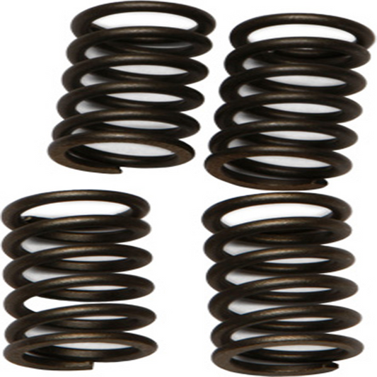 Ebc Clutch Springs - CSK147