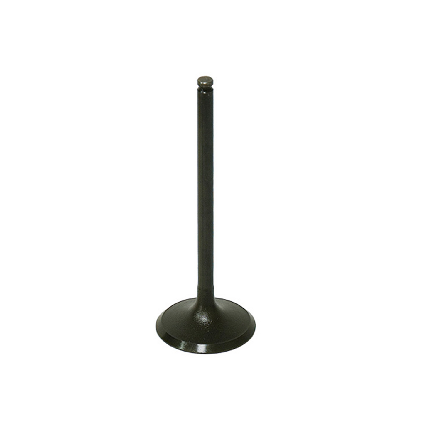 Bronco Valve - AU-09197I