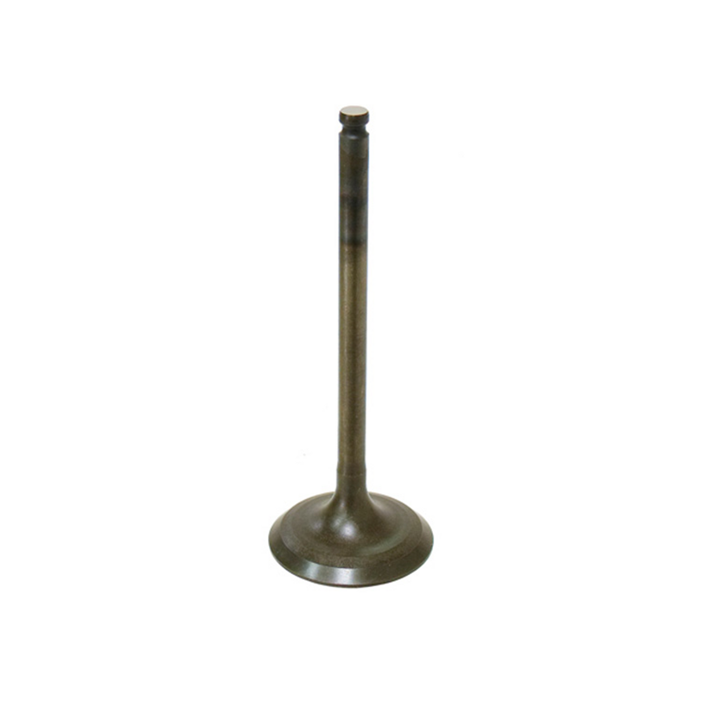Bronco Intake Valve, Pc - AU-09159I
