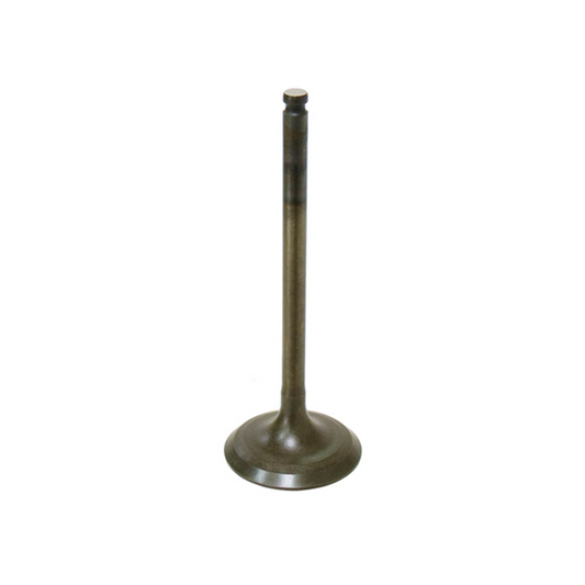 Bronco Intake Valve, Pc - AU-09159I