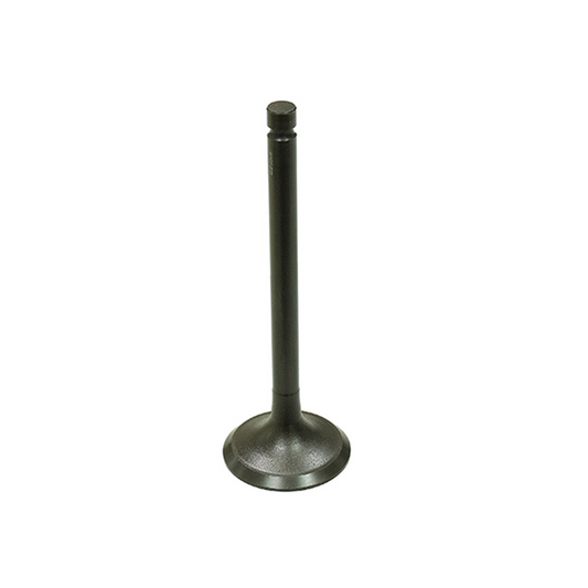 Bronco Exhaust Valve - AU-09156E