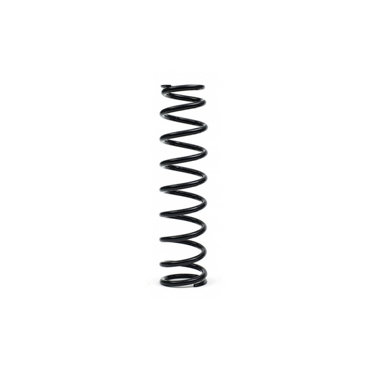EPI Suspension Springs - WE325122
