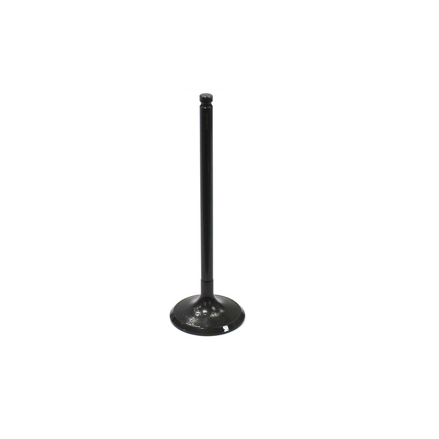 Bronco ATV Intake Valve - AU-09033I