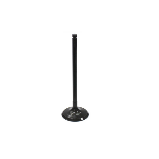 Bronco ATV Intake Valve - AU-09033I