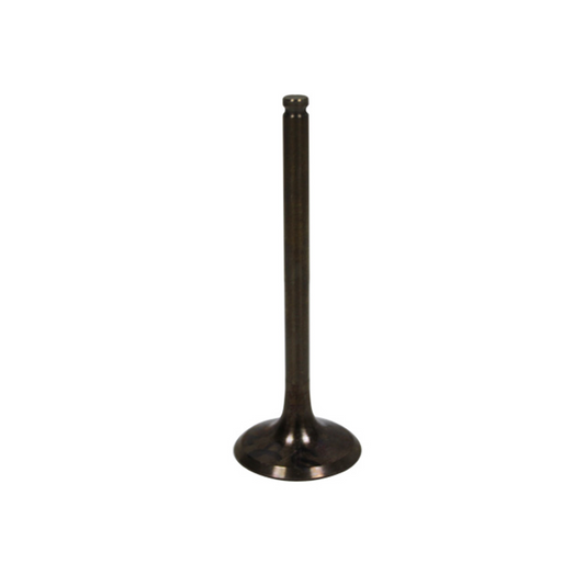 Bronco Exhaust Valve - AU-09028E