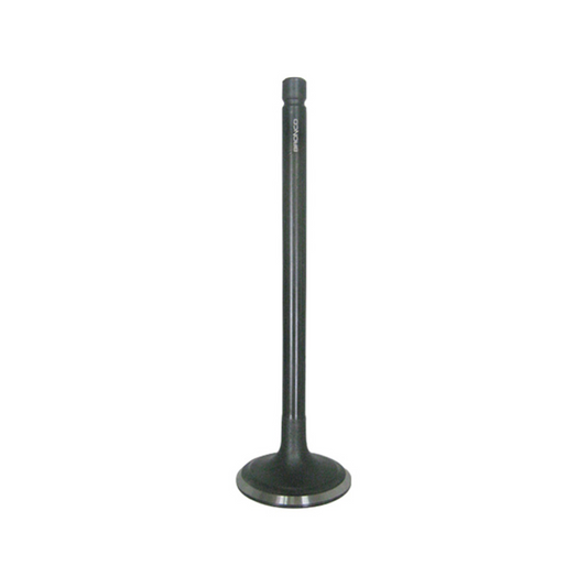 Bronco Intake Valve - AU-09158I