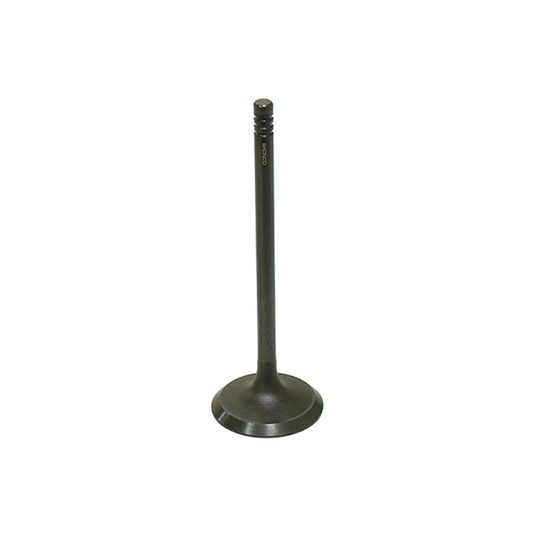 Bronco Intake Valve, Pc - AU-09017I